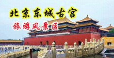999美女被操中国北京-东城古宫旅游风景区